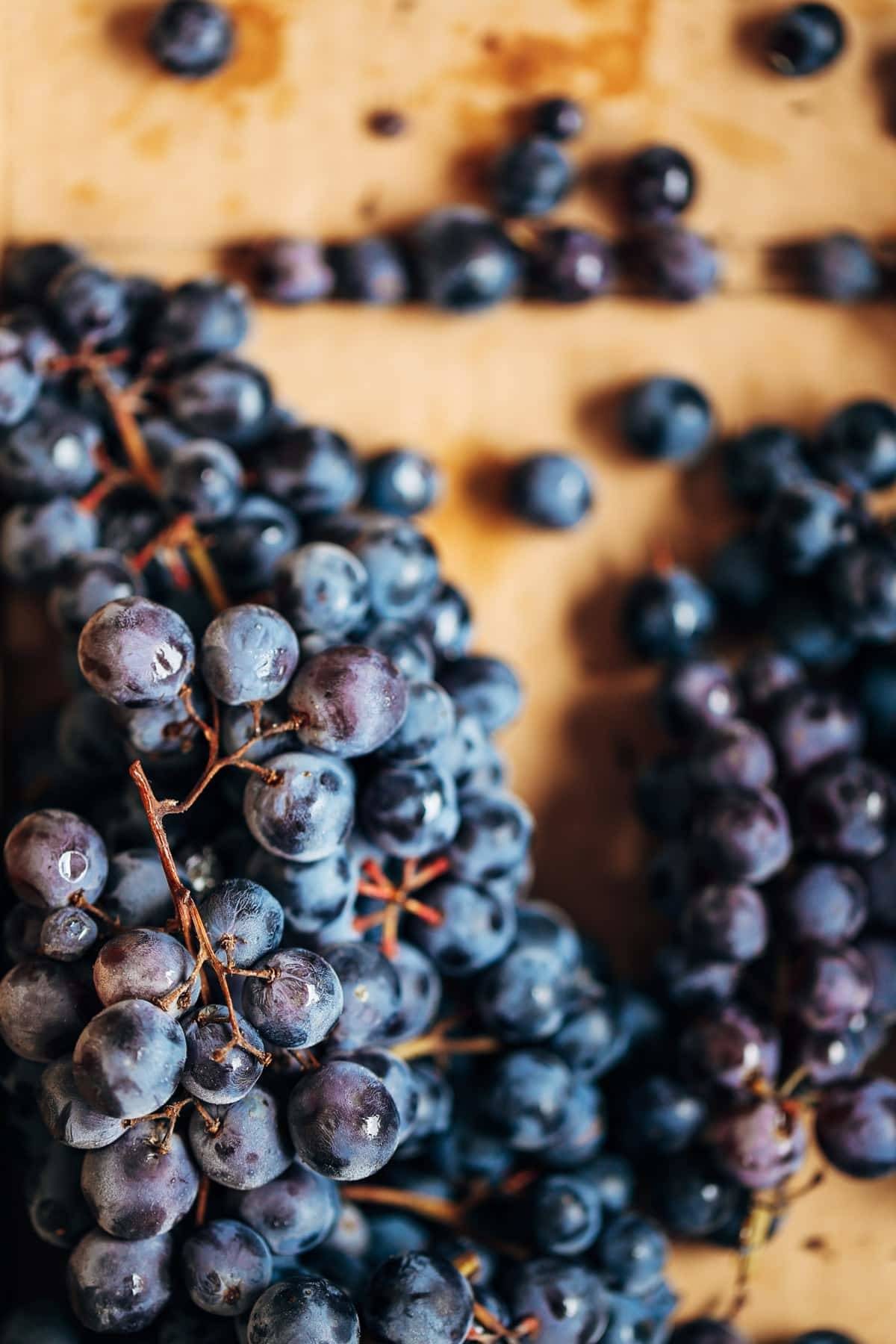 Blueberries.